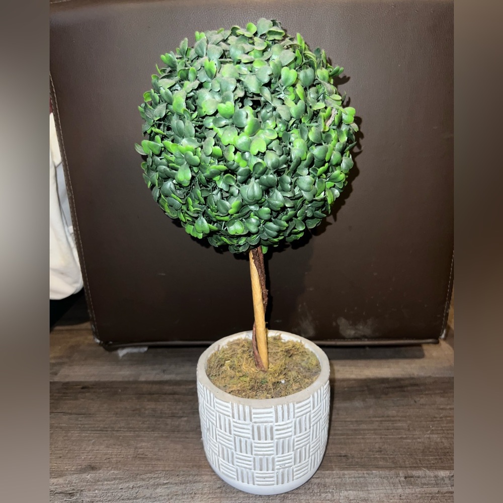 Fake Plant